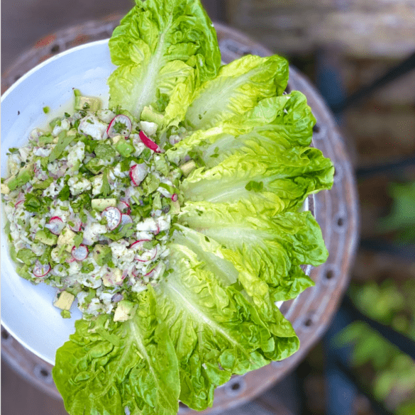 Ceviche