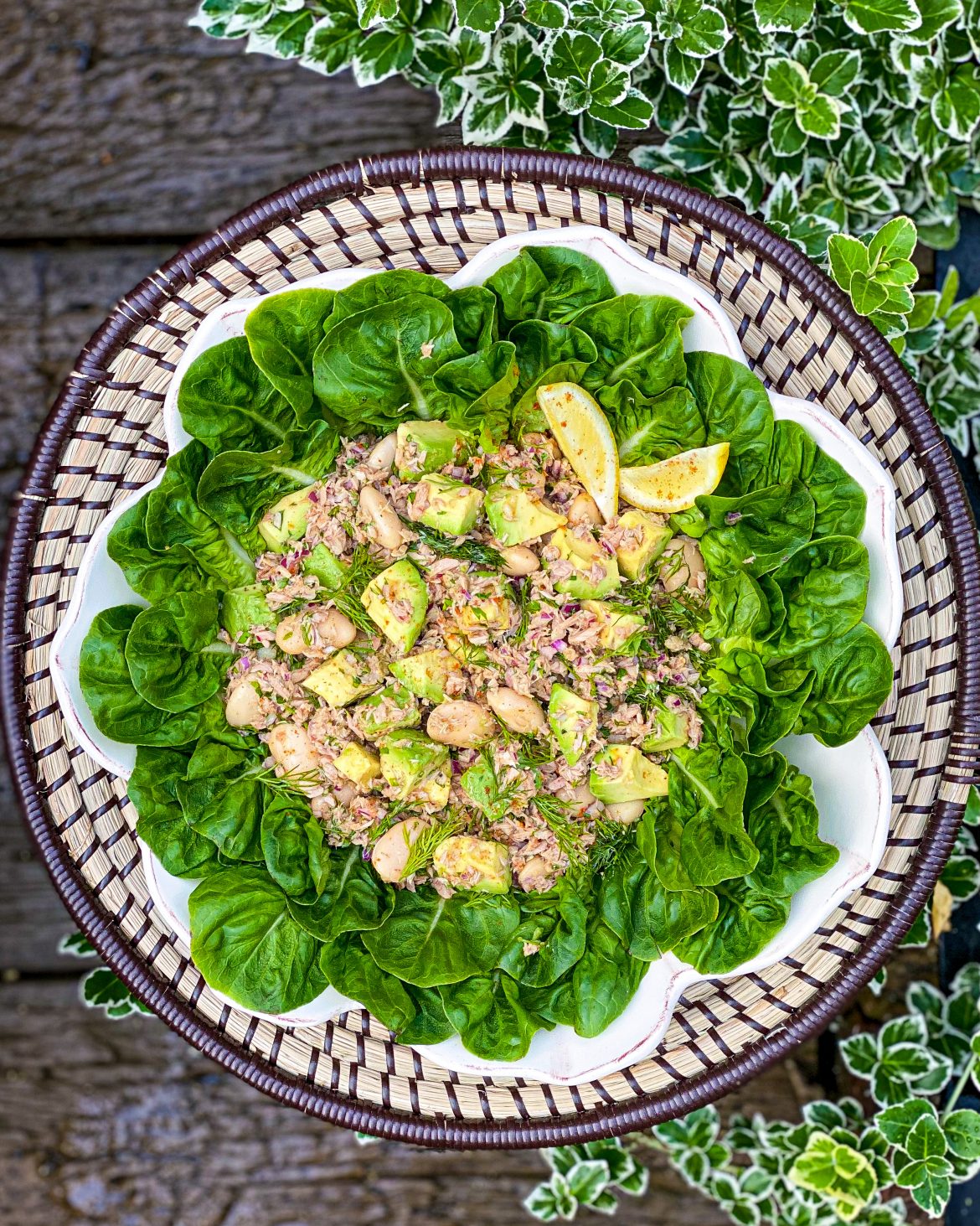 Tuna, Avocado, Buttterbean, and Dill Salad