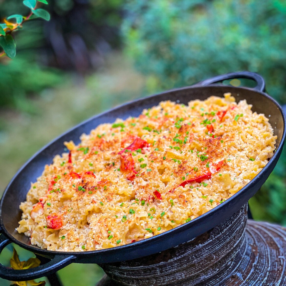 Cheesy Truffle Lobster Pasta